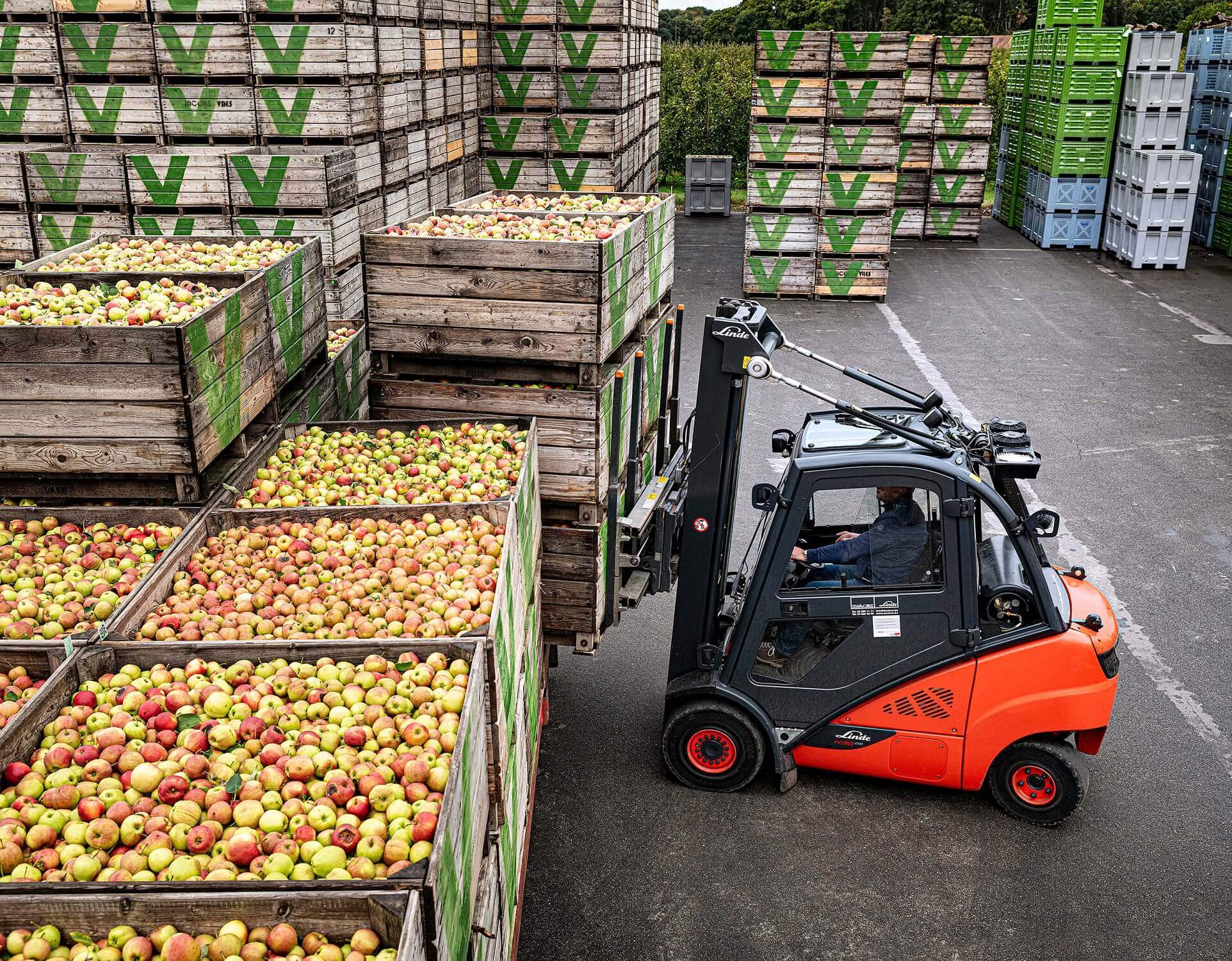 Linde thermische heftruck H30 bij Java & Co fruit buiten