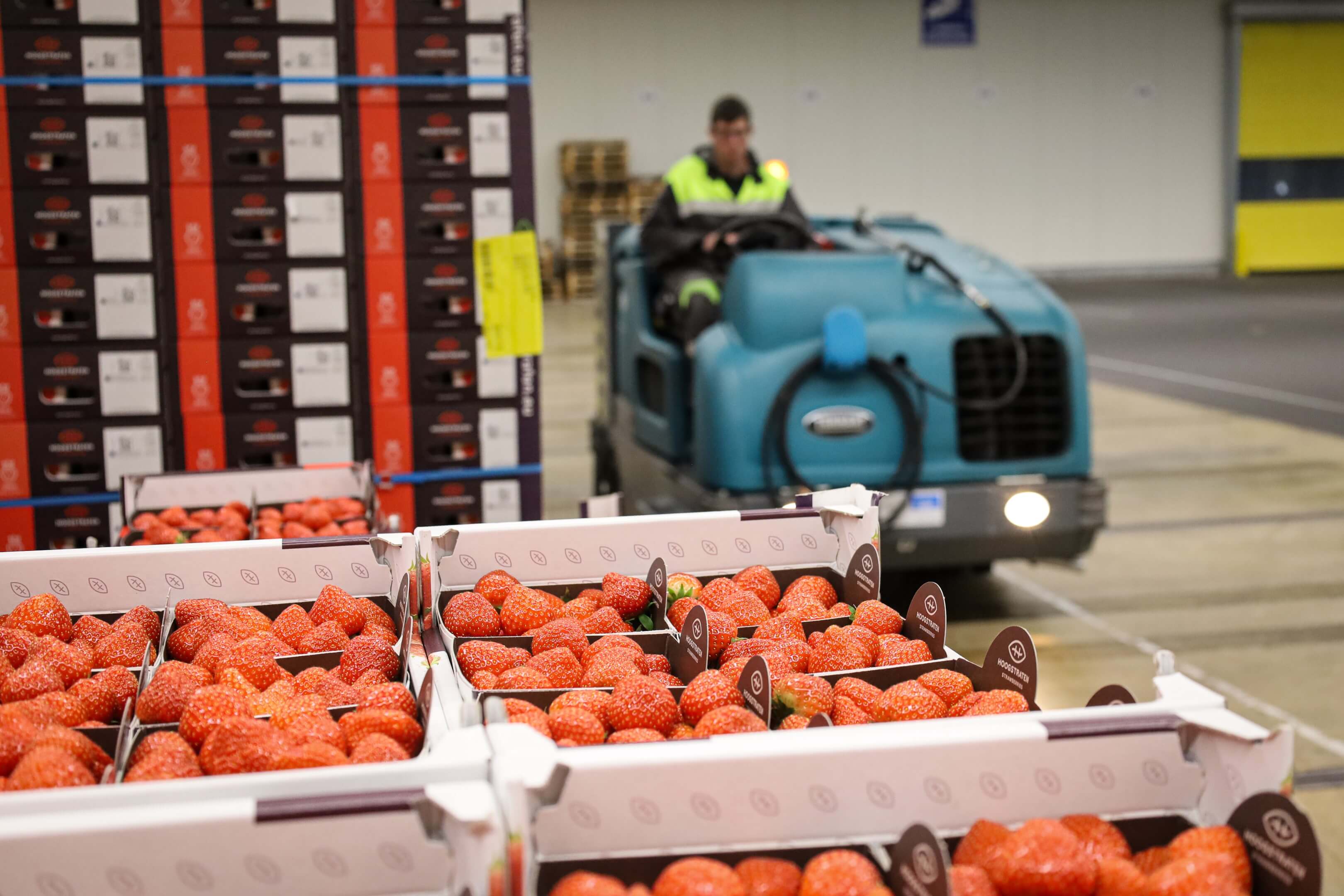 Tennant M30 veegschrobmachine naast kratten tomaten