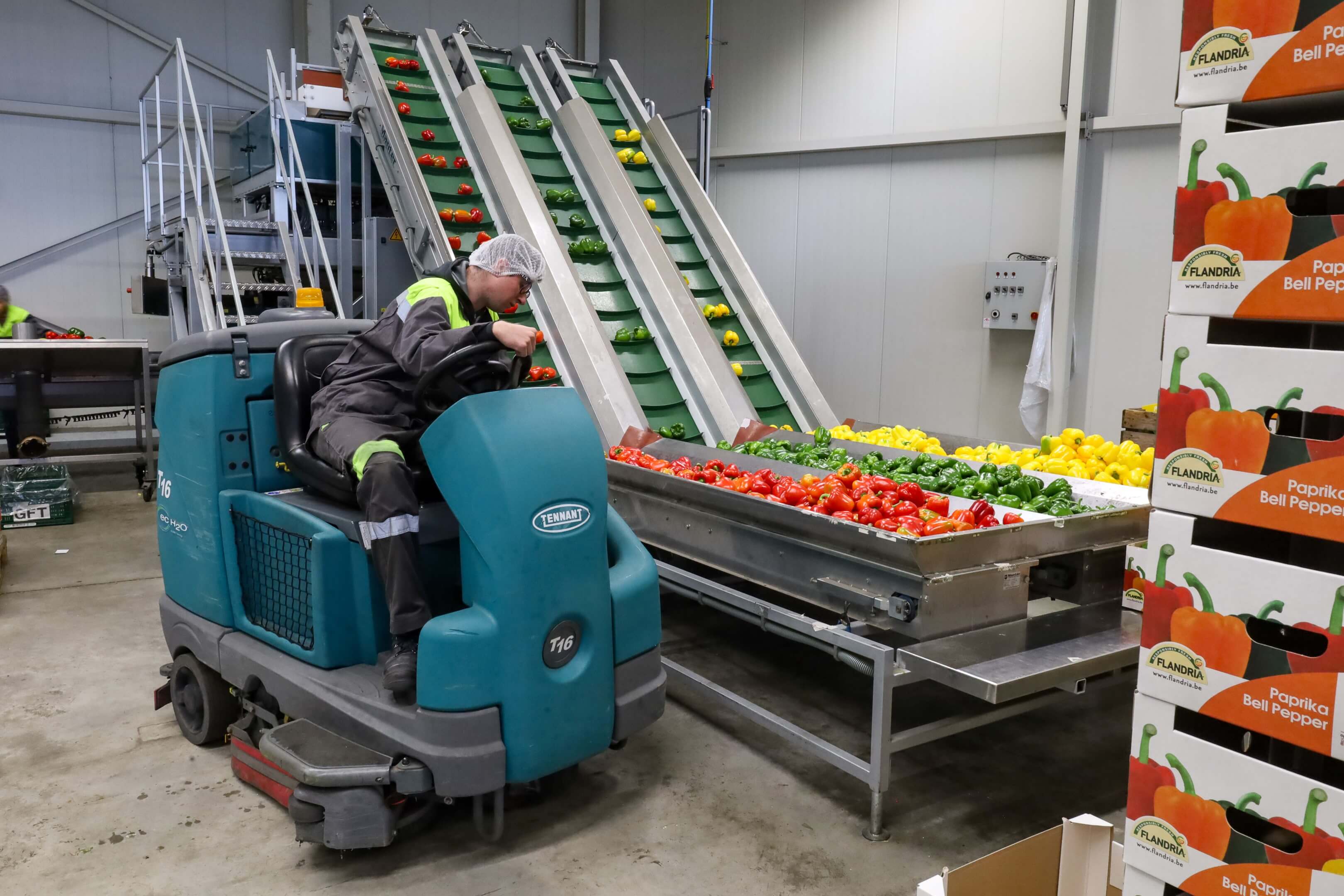 Tennant reinigingsmachine bij veelkleurige paprika's Coöperatie Hoogstraten