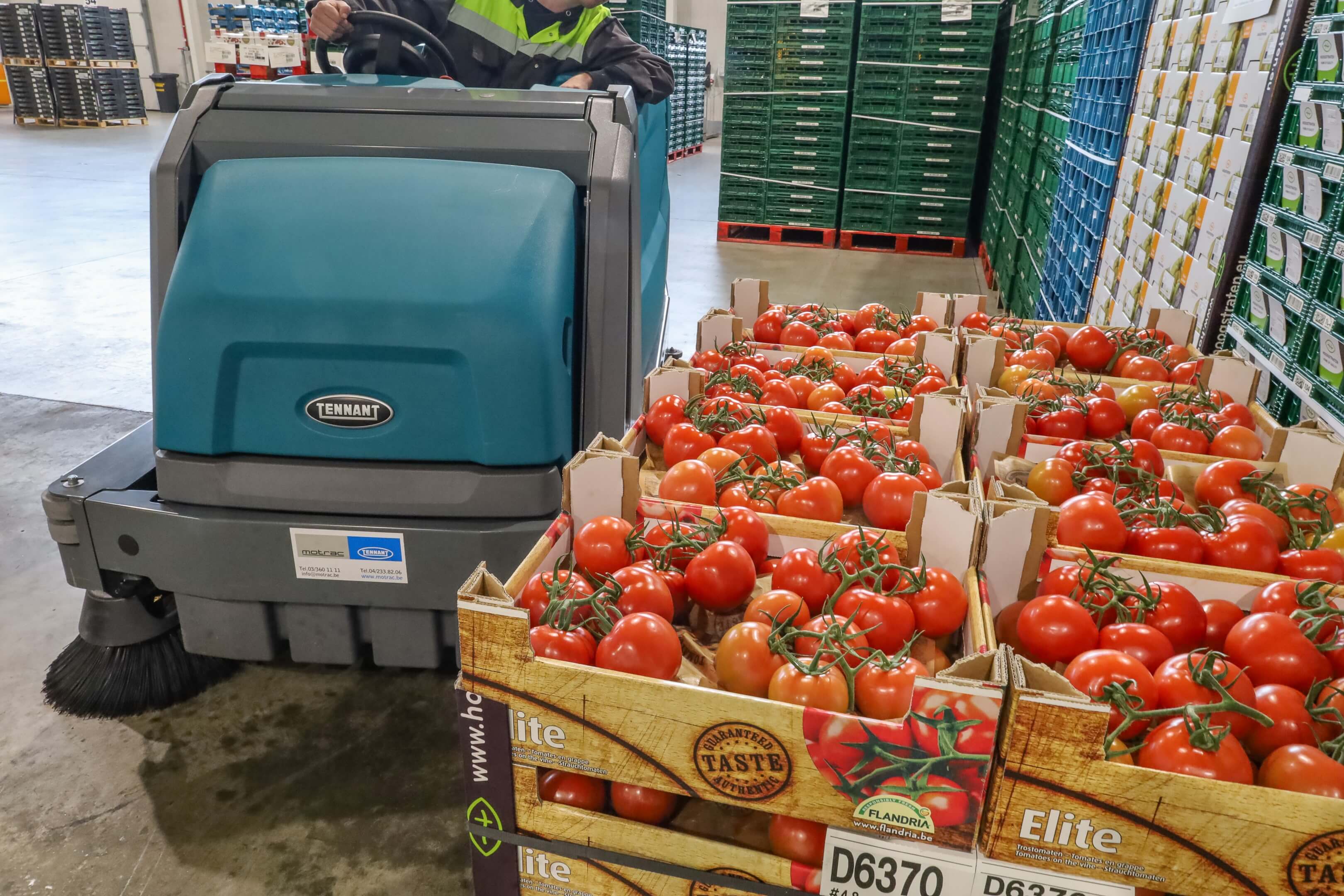 Tennant M30 reinigt de vloer naast tomaten Coöperatie Hoogstraten